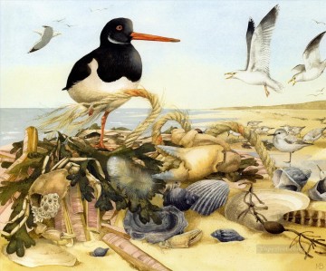  birds Oil Painting - birds shell seashore